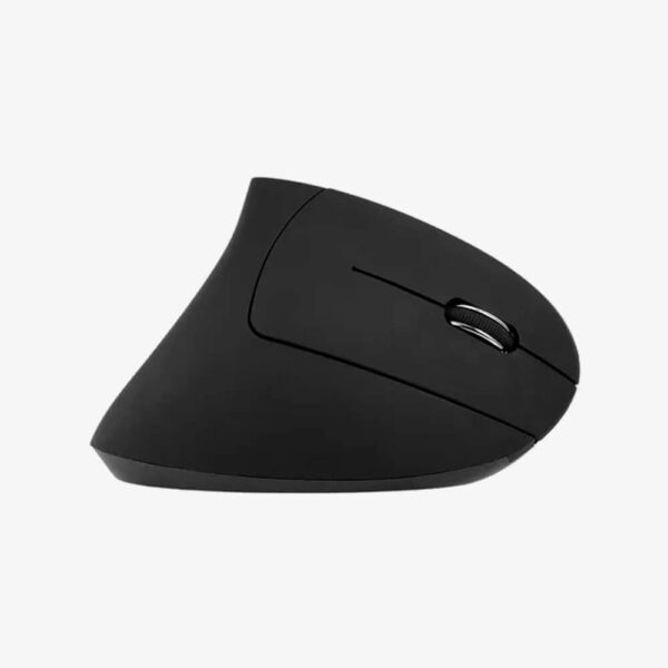 MOUSE VERTICAL 801